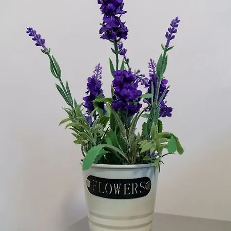 Bell Tower Iii Appartement