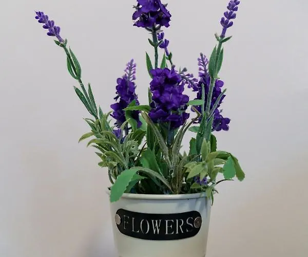 Bell Tower Iii Daire